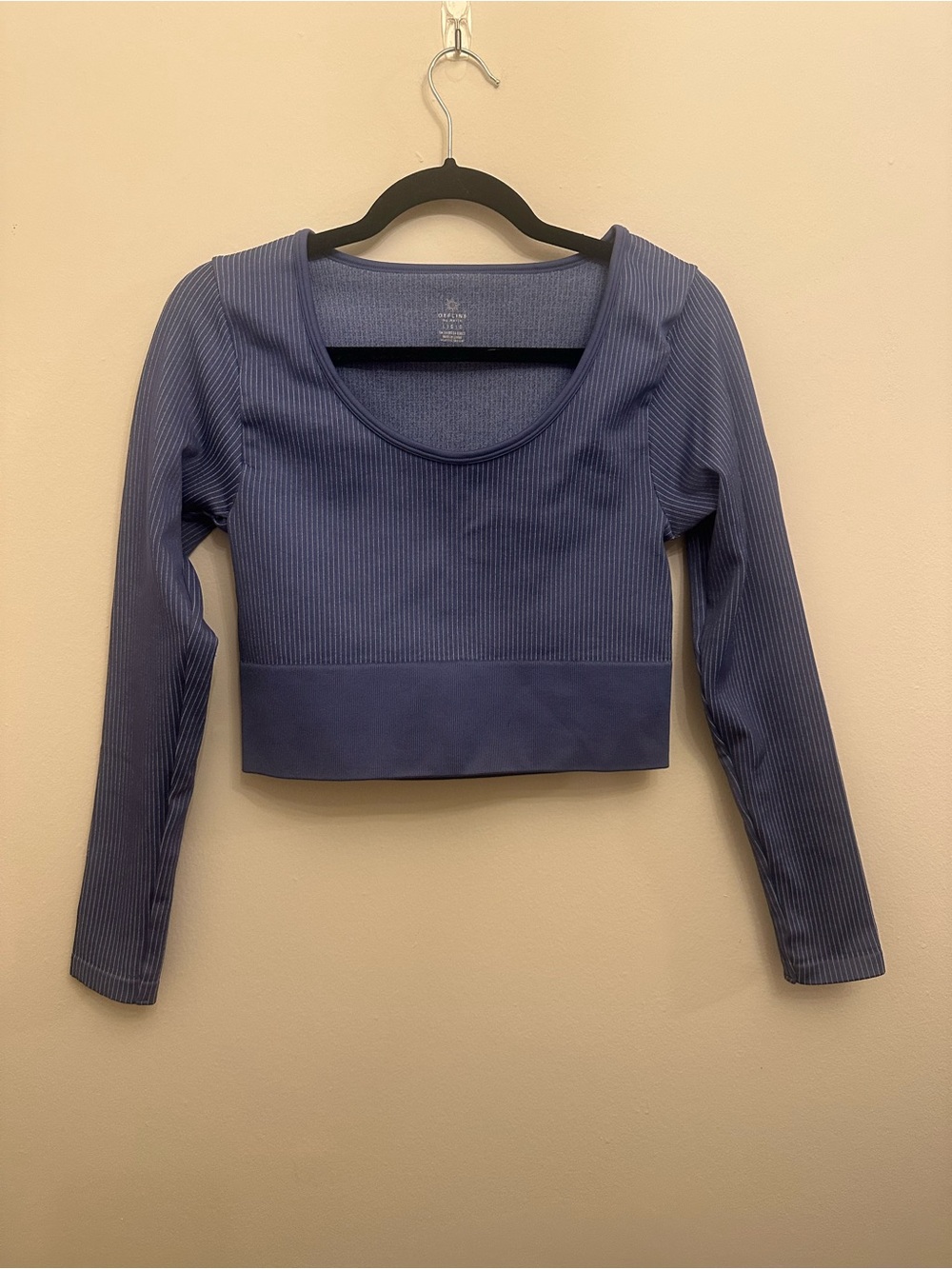 OFFLINE by Aerie L Blue Ribbed Seamless Long Sleeve Crop Top Athleisure Workout